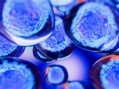 Pluripotent Stem Cells