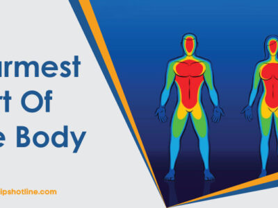 Warmest Part Of the Body