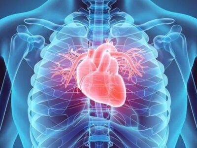 Cardiology